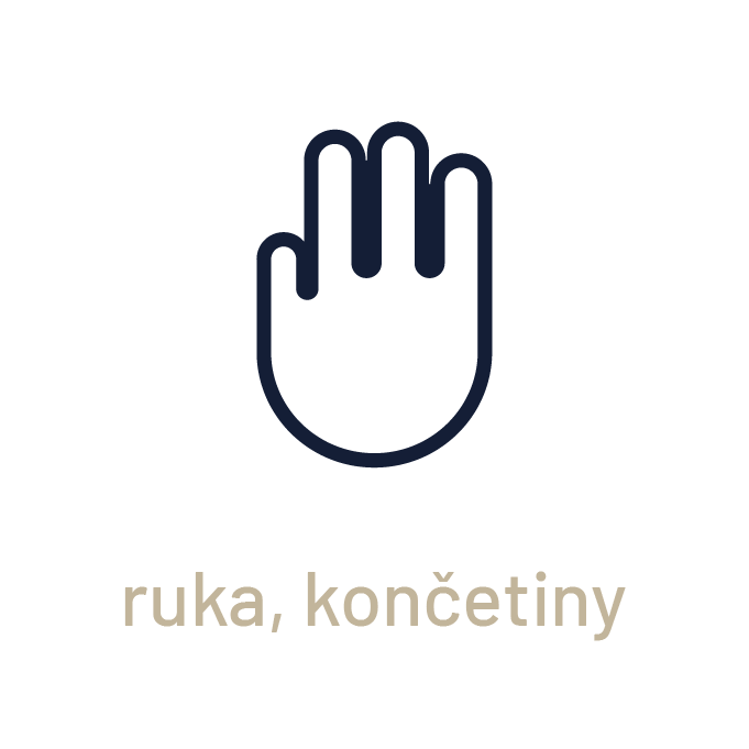 ruka, končatiny CZ